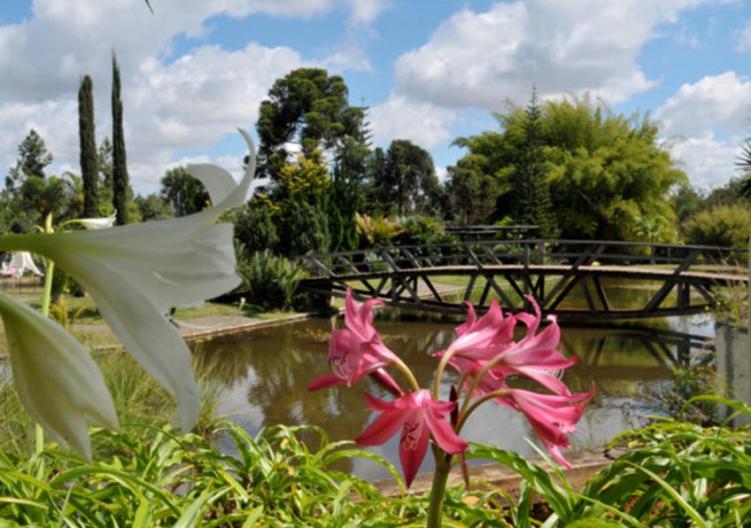 O Jardim Botânico tem aproximadamente 4,5 mil hectares destinados à preservação e pesquisa, dos quais 500 hectares estão abertos à visitação